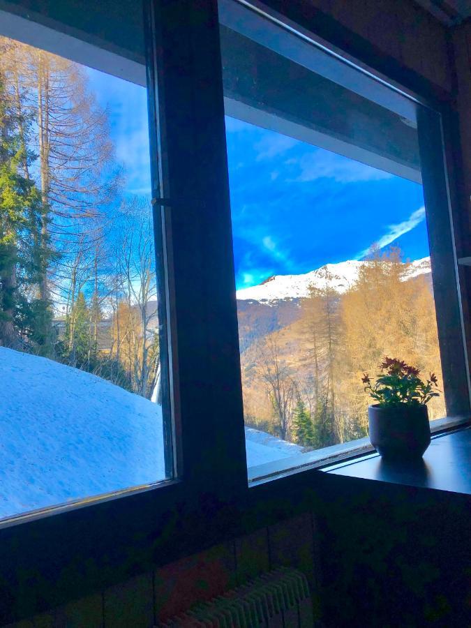 **New**Marilleva 1400**Trilocale Sulle Piste Apartment ภายนอก รูปภาพ